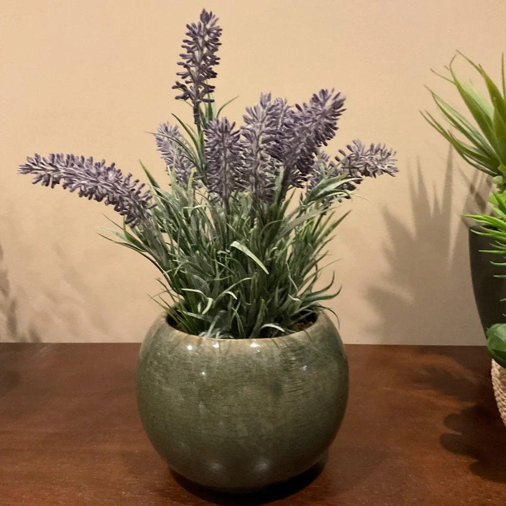 Faux Lavender or Succulents in Flower Pots 🪴